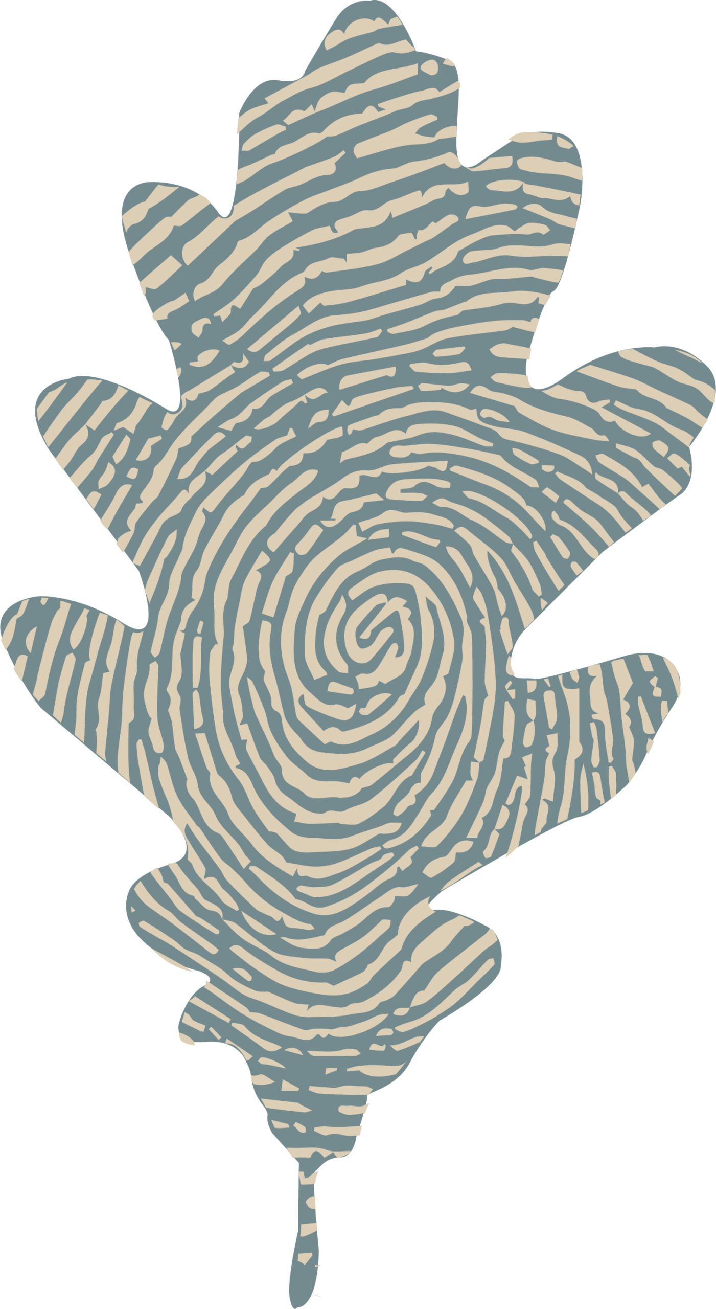 feuille_bleu_beige