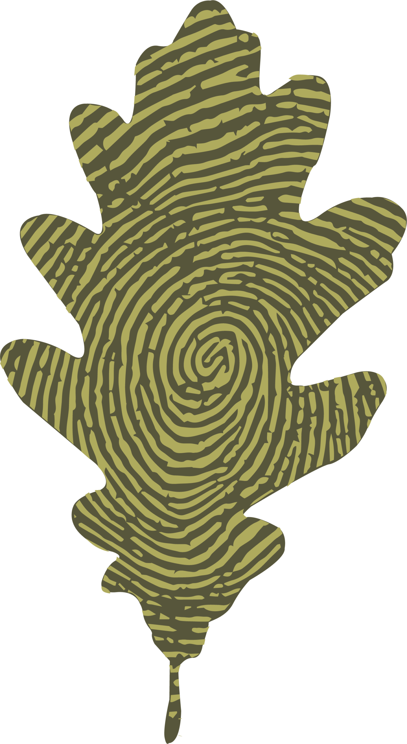 feuille_vert-foncé_vert-clair